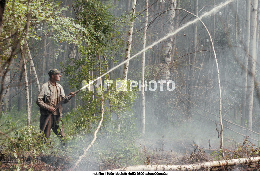 Forest fires in the Moscow region