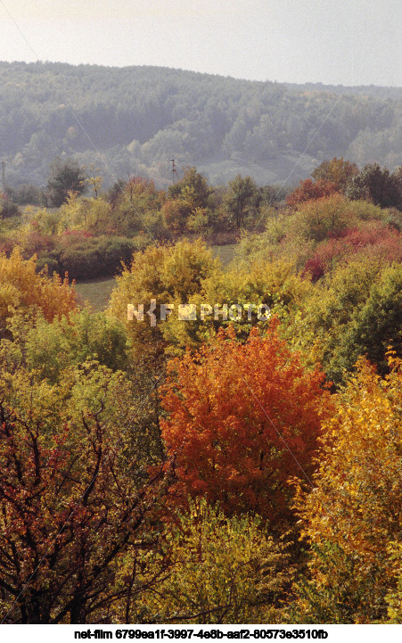 Nature of the Belgorod region