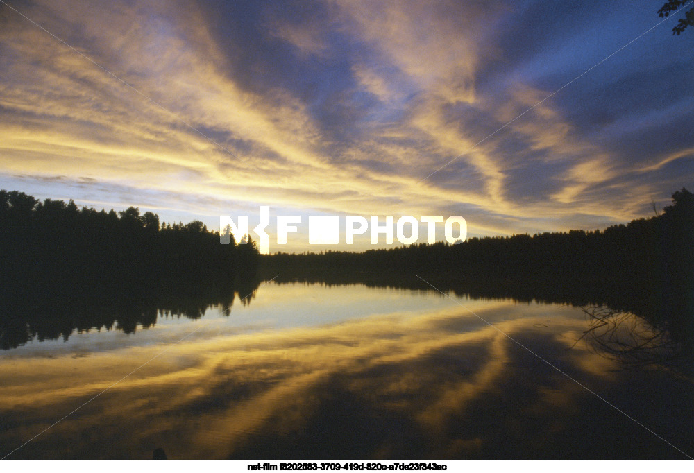 Природа Новгородской области