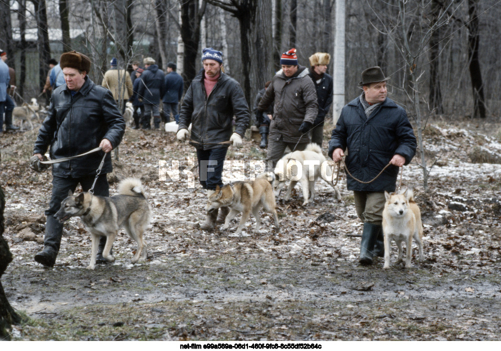 Первая московская выставка лаек
