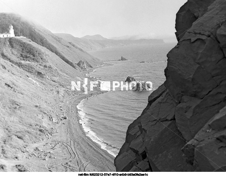 Виды Сахалинской области