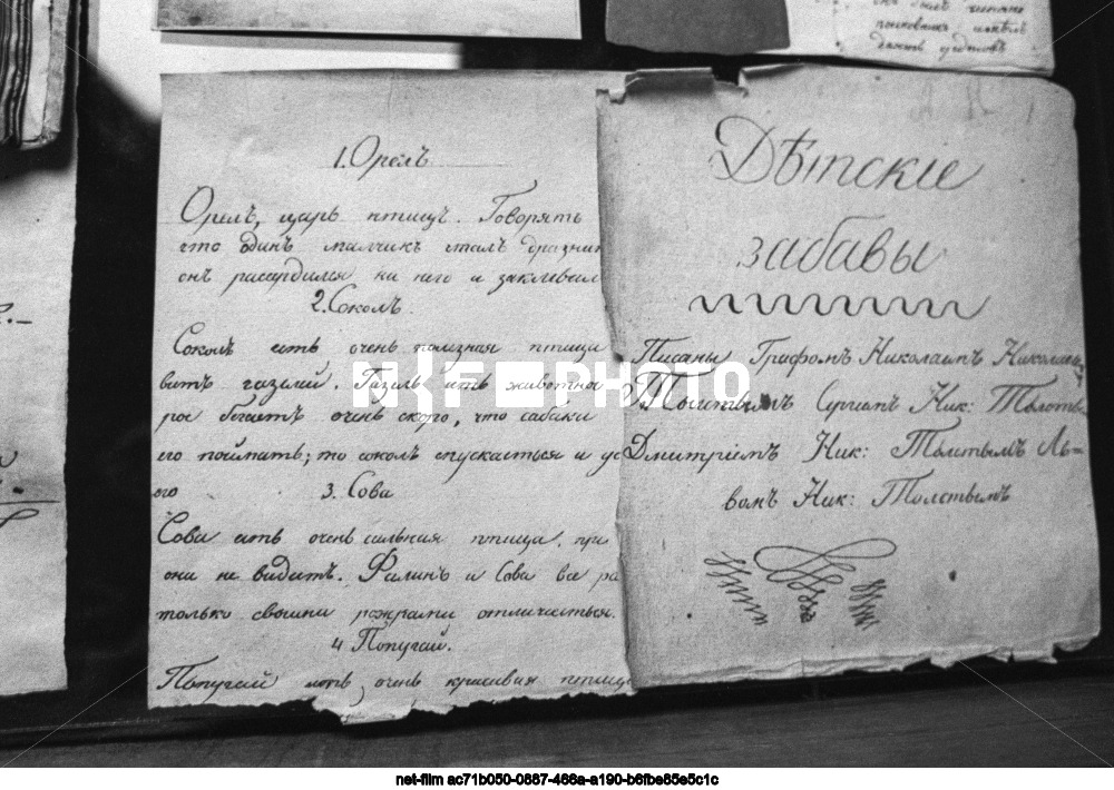 Государственный музей Л. Н. Толстого в Москве