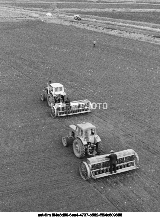 Совхоз "Красноармейский" в Краснодарском крае