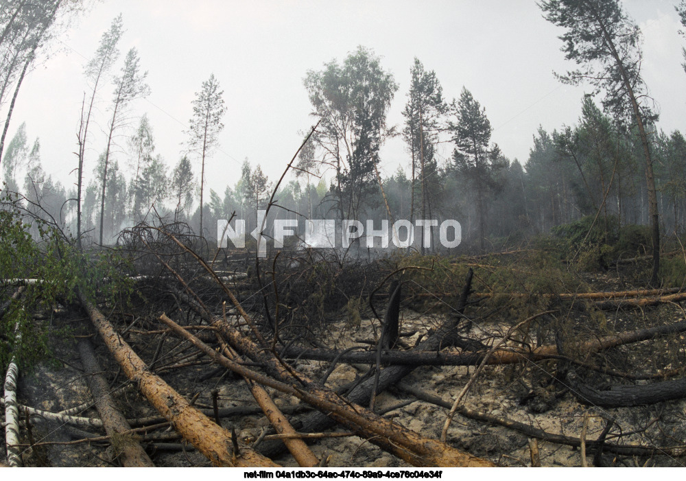 Wildfires in the Moscow region
