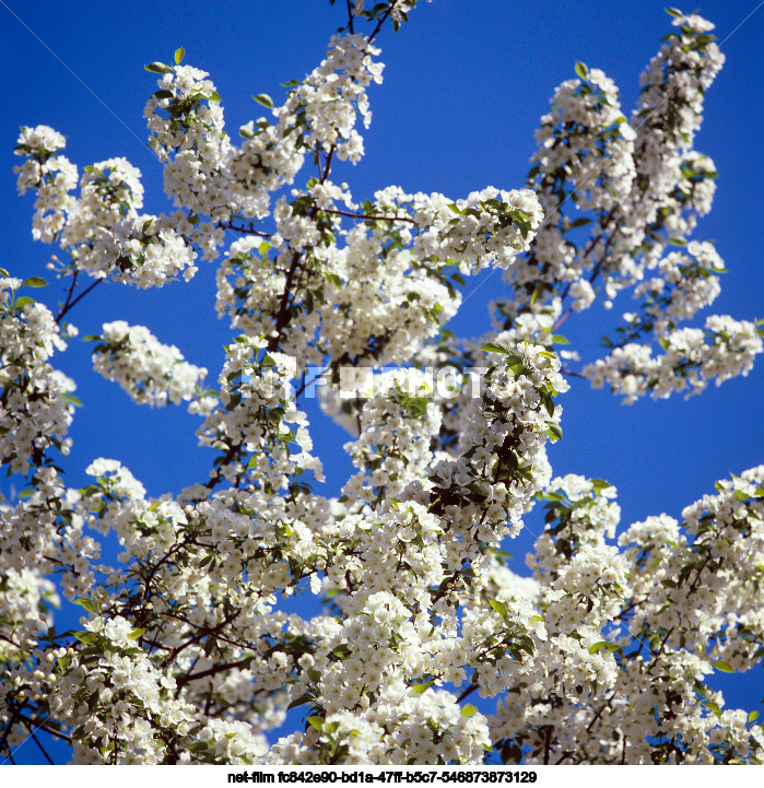 Nature of the Sverdlovsk region