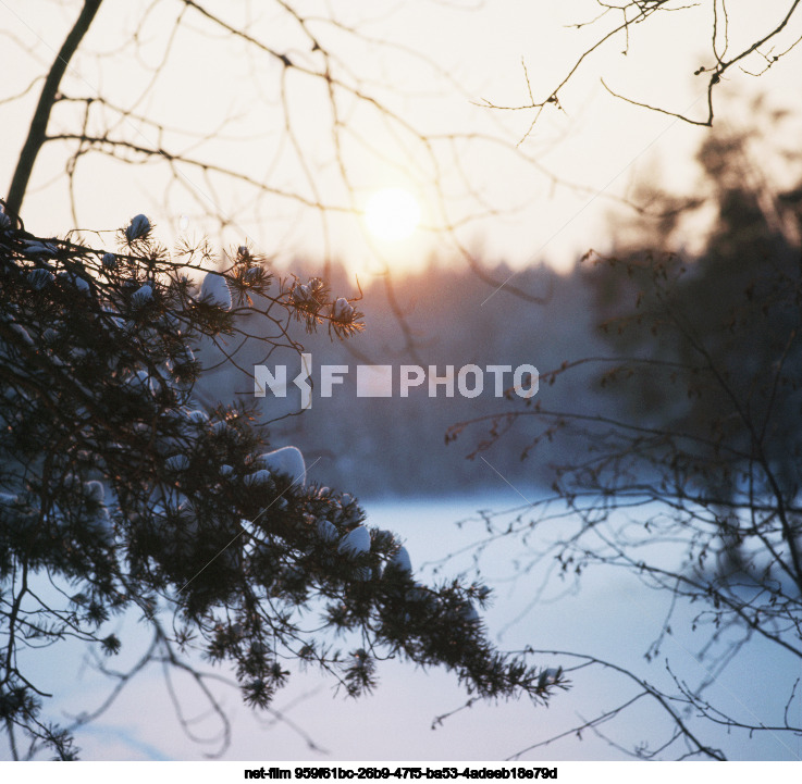 Winter in Karelia