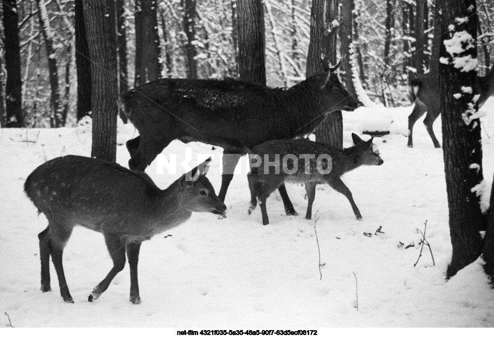 Природа Башкирской АССР