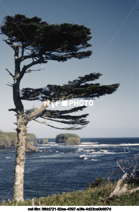 Природа Сахалинской области