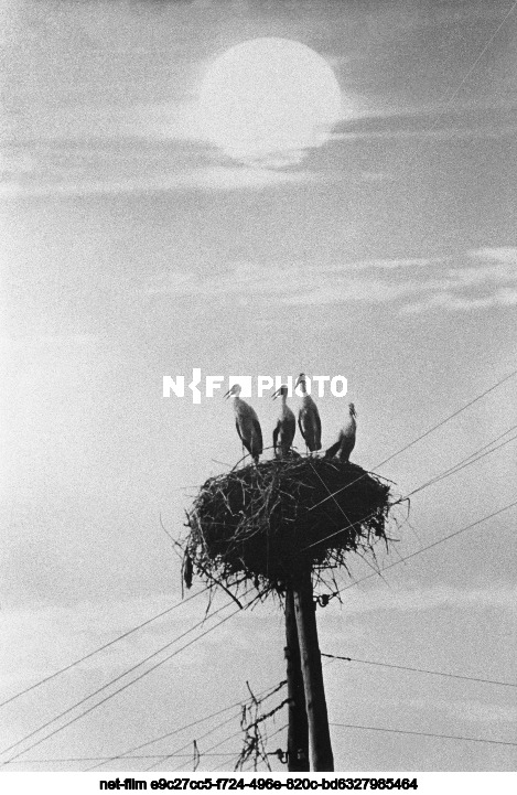 Природа Курской области