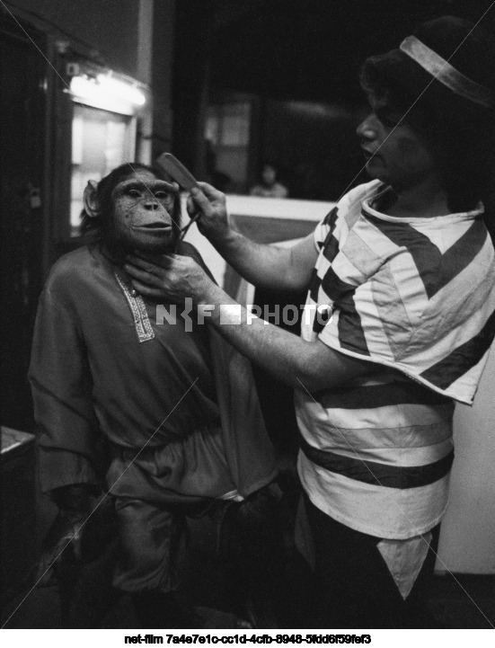 Ярославский государственный цирк