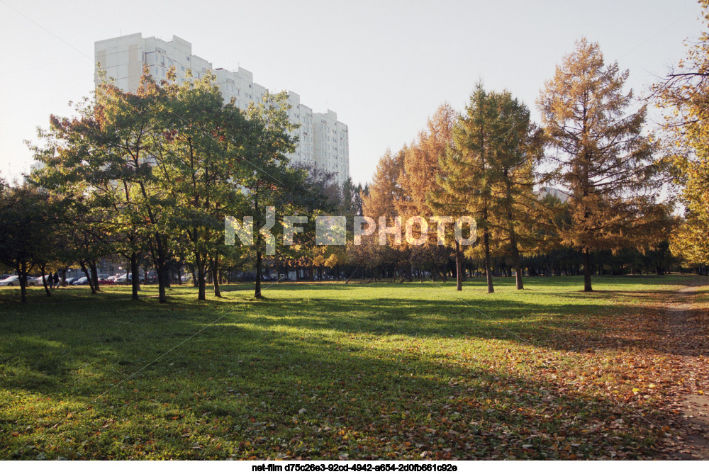 Измайловский парк в Москве
