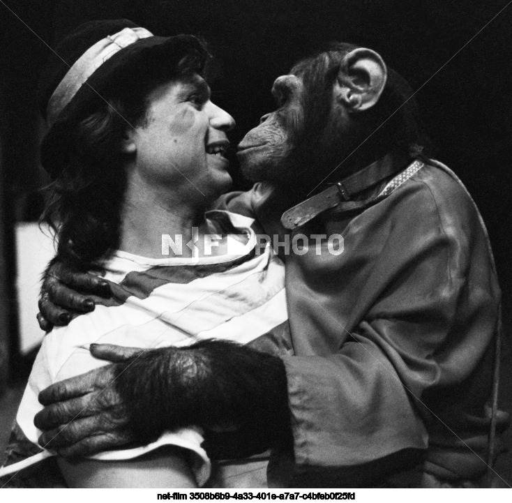 Ярославский государственный цирк