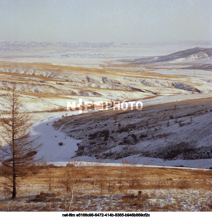 Types of the Mongolian People's Republic