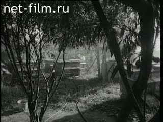 Фильм Стакан молока и хлеба кусок. (1972)