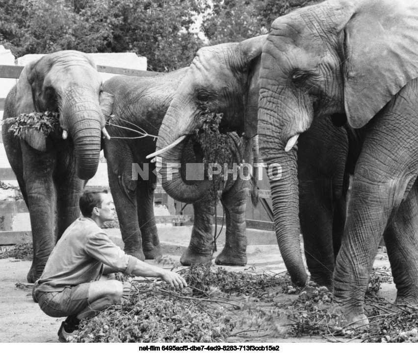 Московский зоопарк
