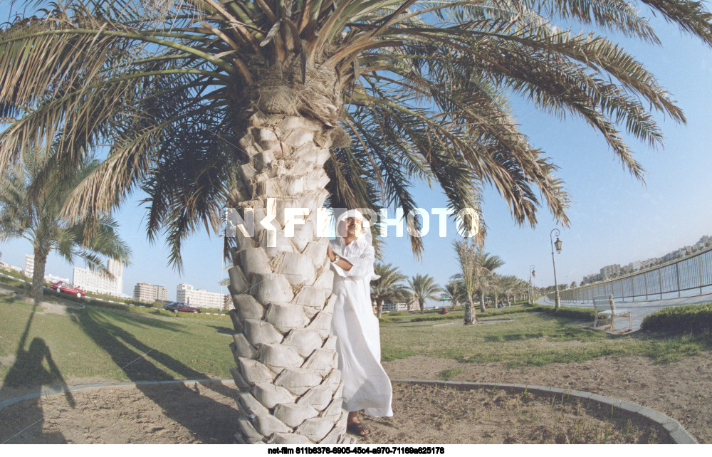 Виды Шарджи