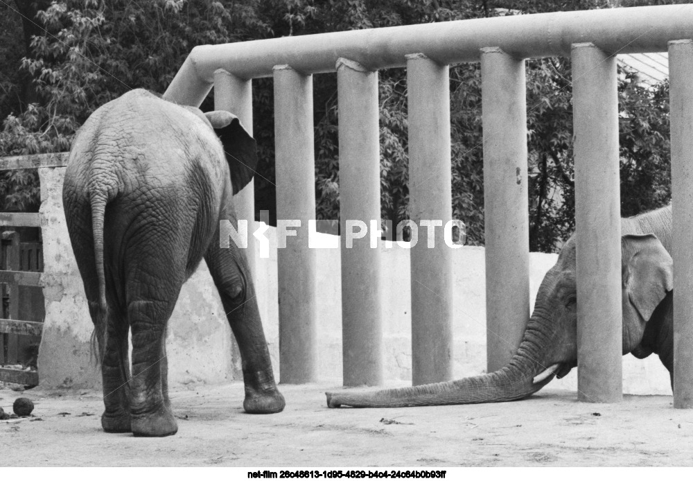 Московский зоопарк