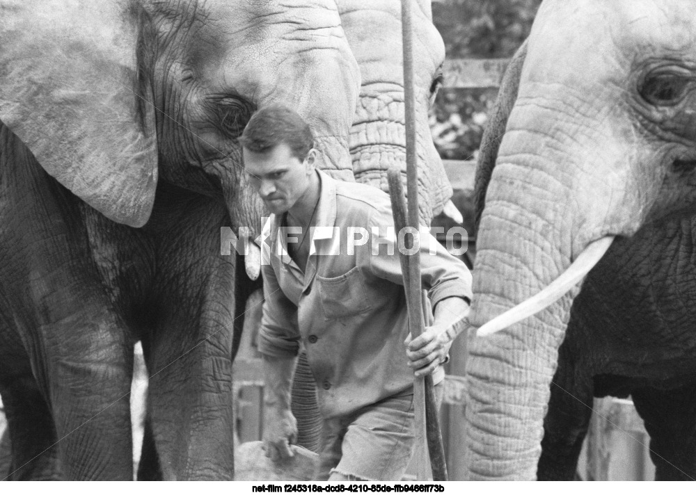 Московский зоопарк