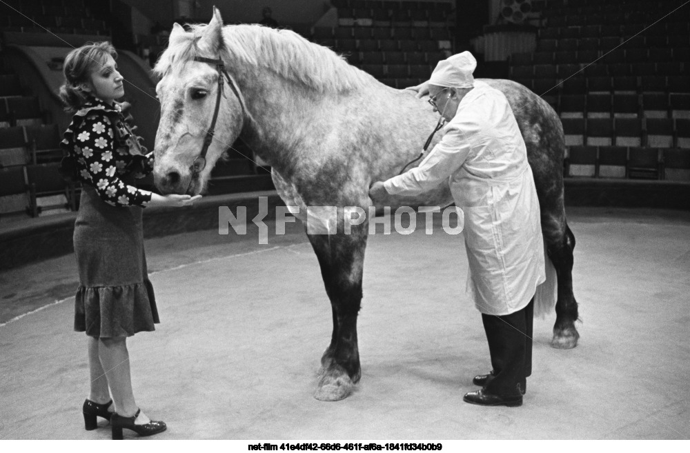 Moscow State Circus on Tsvetnoy Boulevard