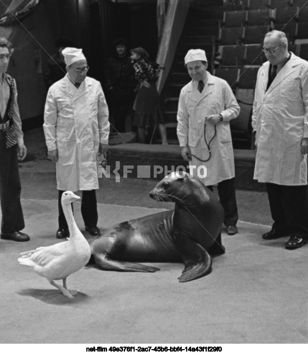 Moscow State Circus on Tsvetnoy Boulevard