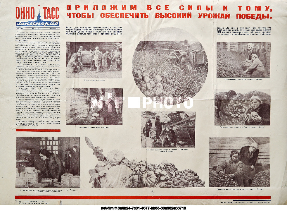 Propaganda posters "TASS Windows"