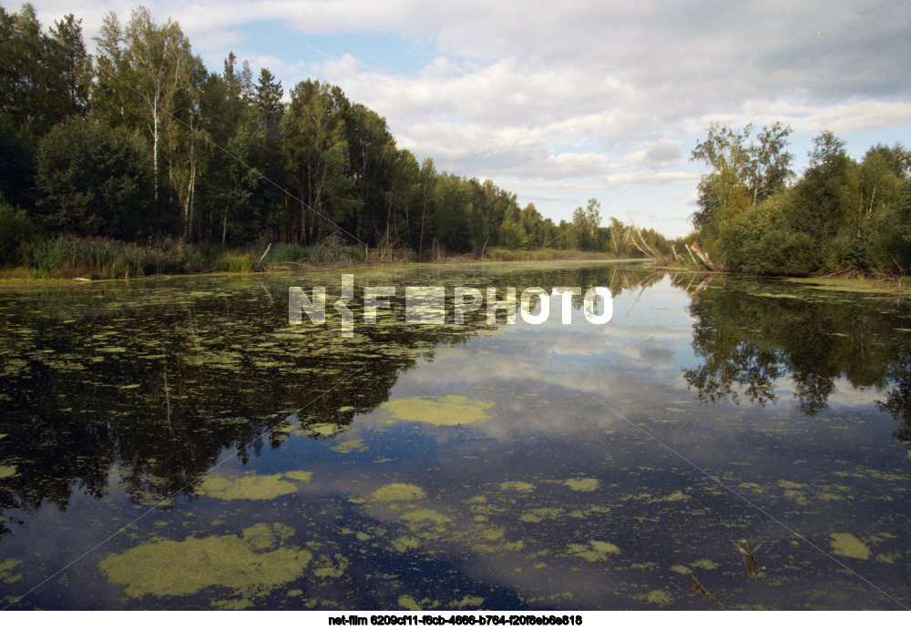 Nature of the Tyumen region
