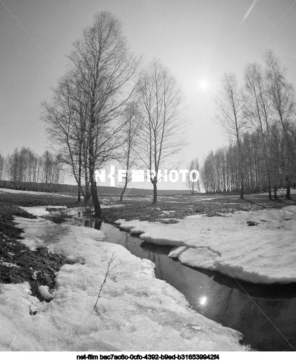 Nature of the Moscow region