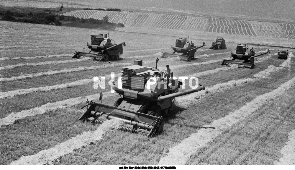 Колхоз "Заветы Ленина" в Краснодарском крае