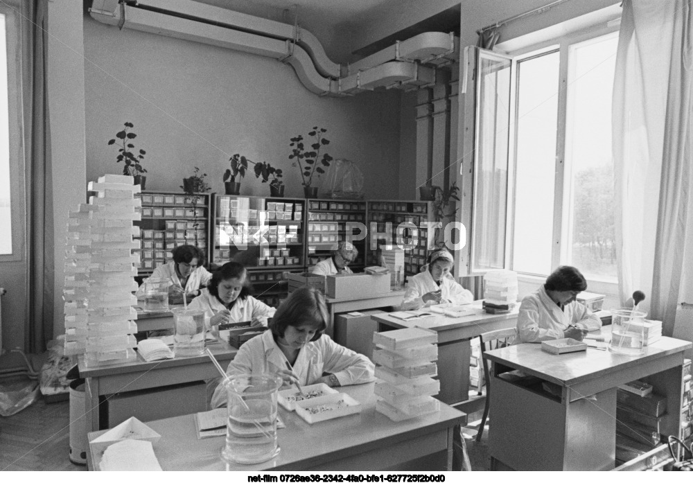 State repository of the world seed collection in Krasnodar region