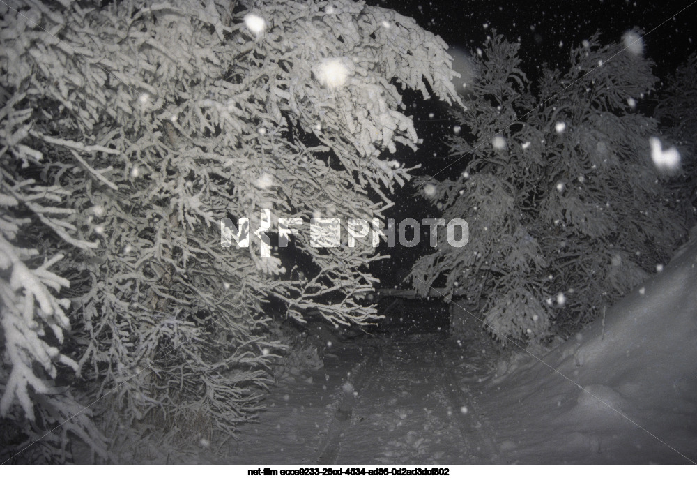 Nature of Kamchatka region