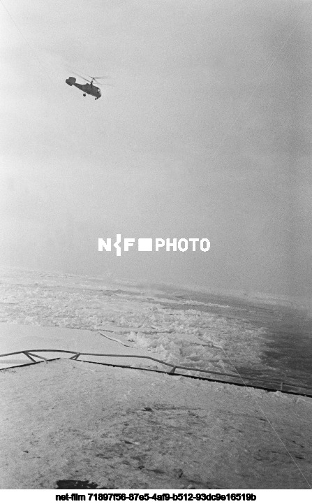 Development of the Arctic