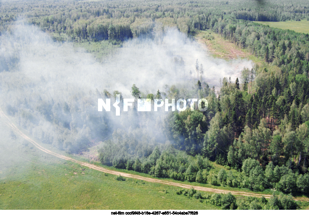 Forest fire in the Yaroslavl region
