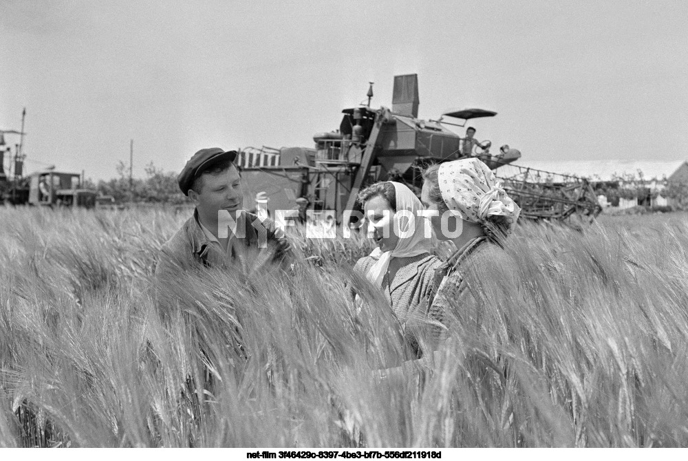 Сельхозартель им. Ленина в Краснодарском крае