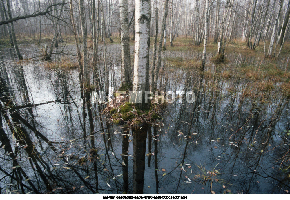 Nature of the Moscow region