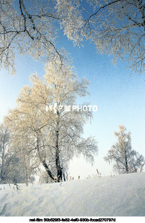 Зима в Тюменской области