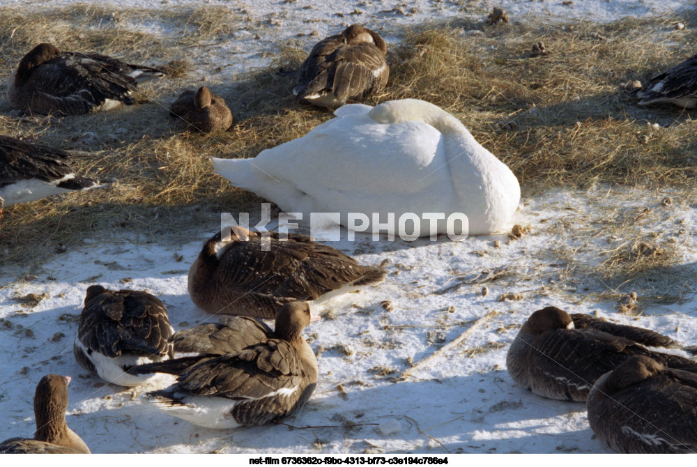 Московский зоопарк