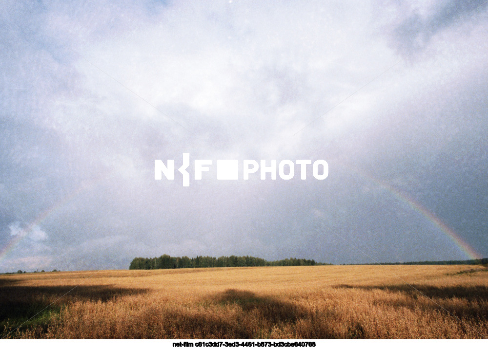 Nature of the Kalinin region