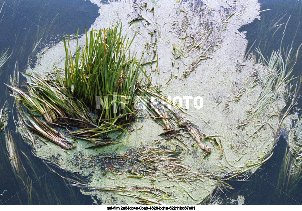 Nature of Moscow Region