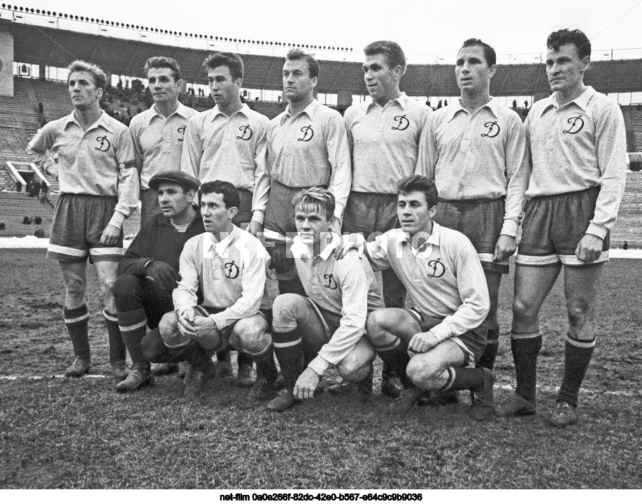 Football team "Dynamo"