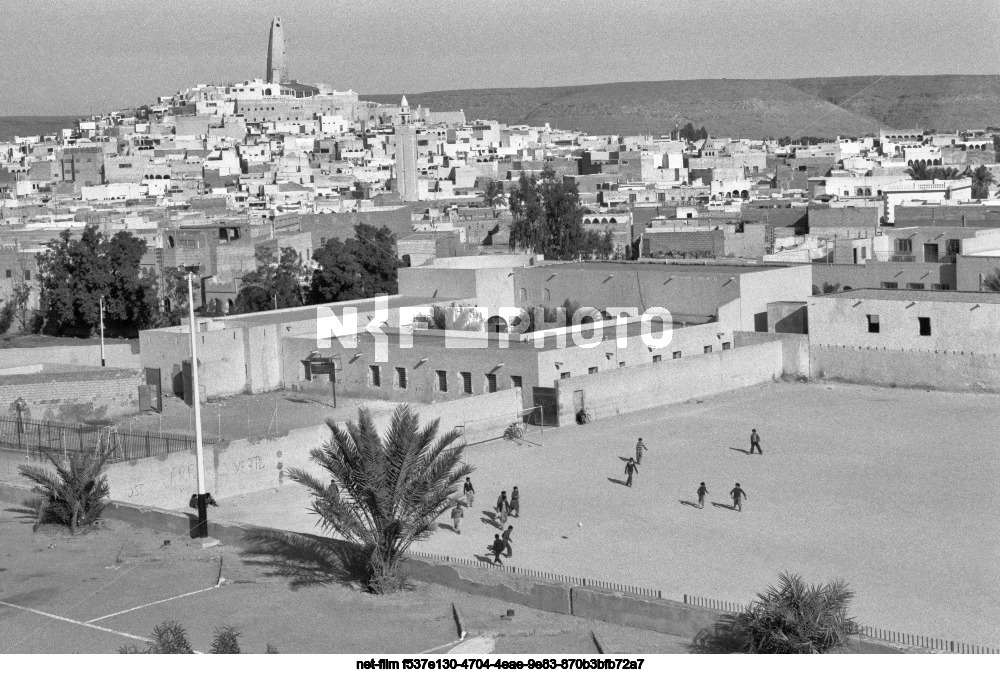 Виды Гардаи