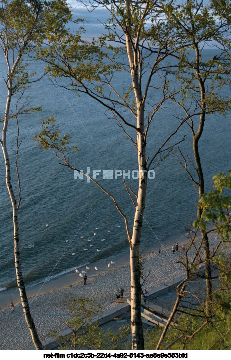 Виды города Светлогорска Калининградской области