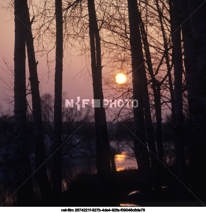 Nature of Kursk region