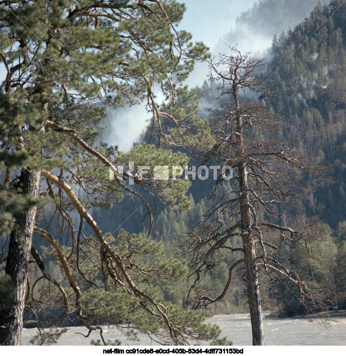 Природа Алтая