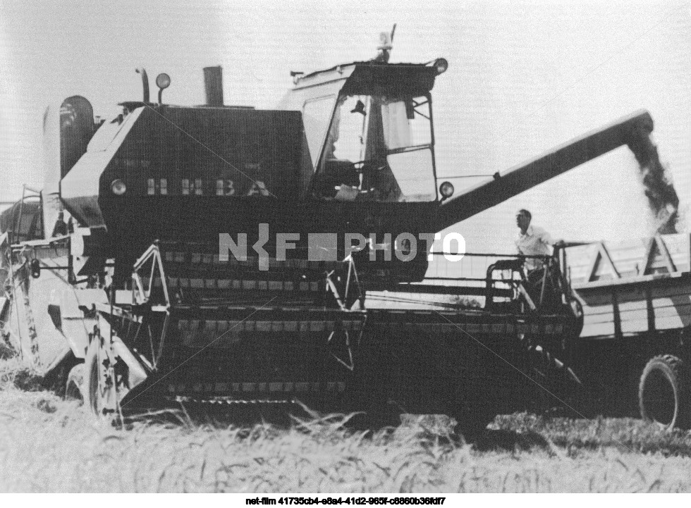 Grain harvesting in the Belgorod region