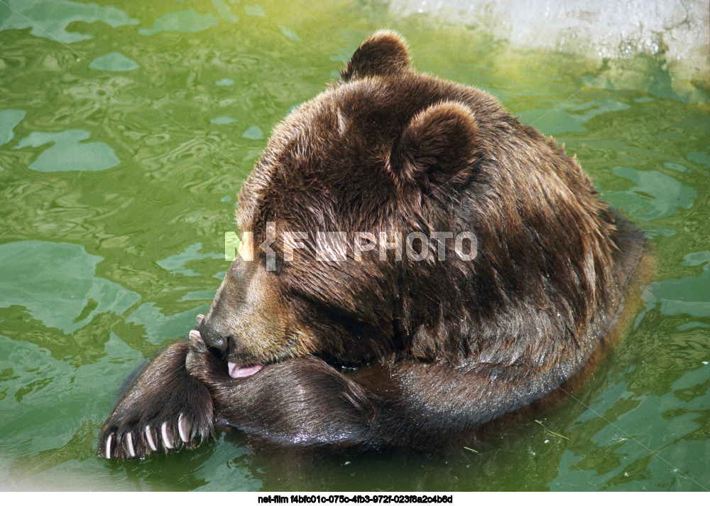 Московский зоопарк