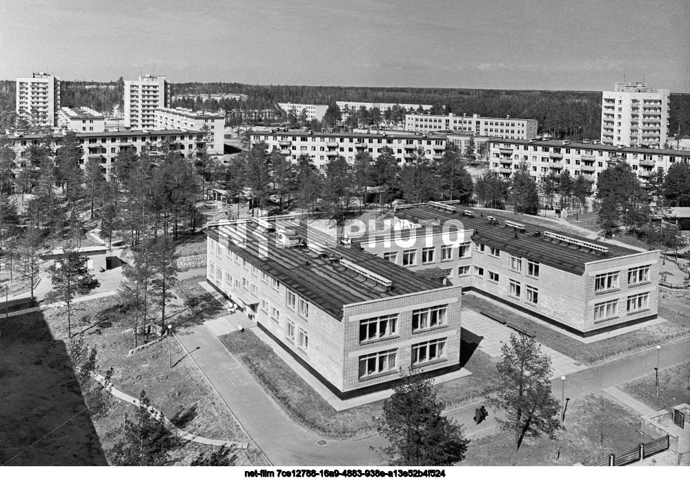 Поселок Сосновый Бор в Ленинградской области
