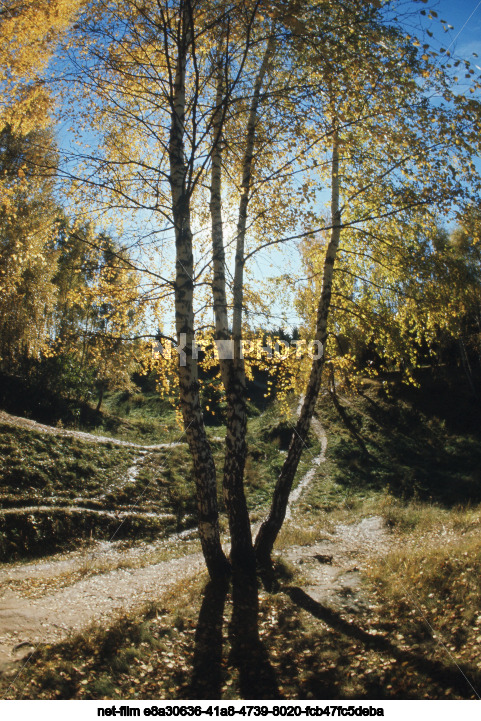 Nature of Moscow Region