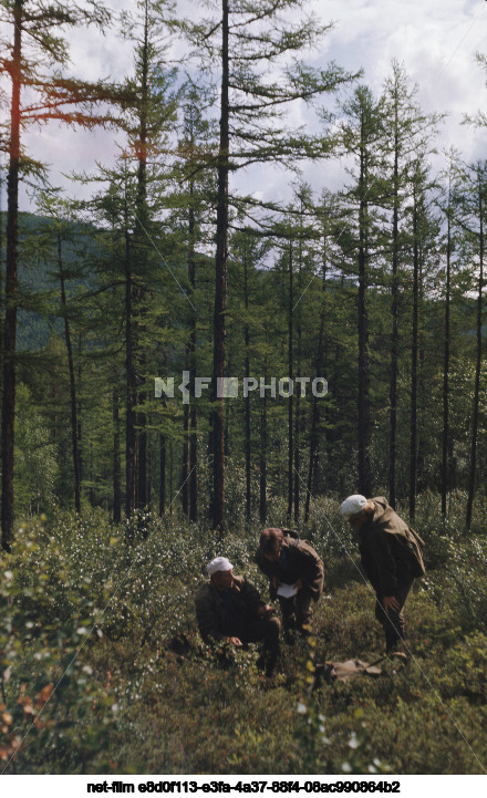 Байкало-Амурская экспедиция Института географии Сибири и Дальнего Востока
