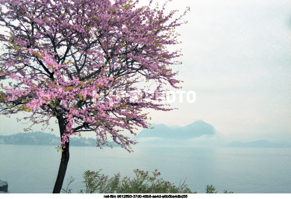 Виды Пьемонта