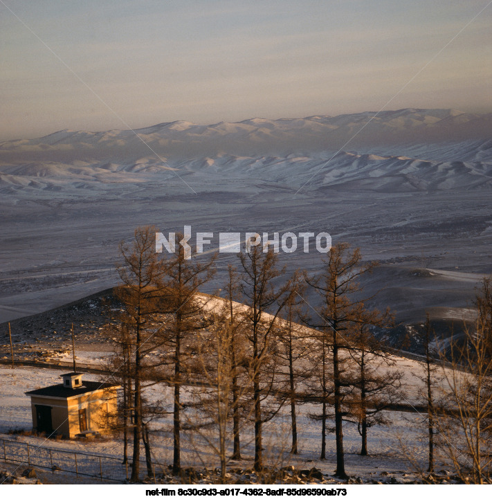Types of the Mongolian People's Republic